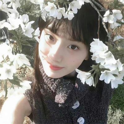 舞社里的酷女孩 海报